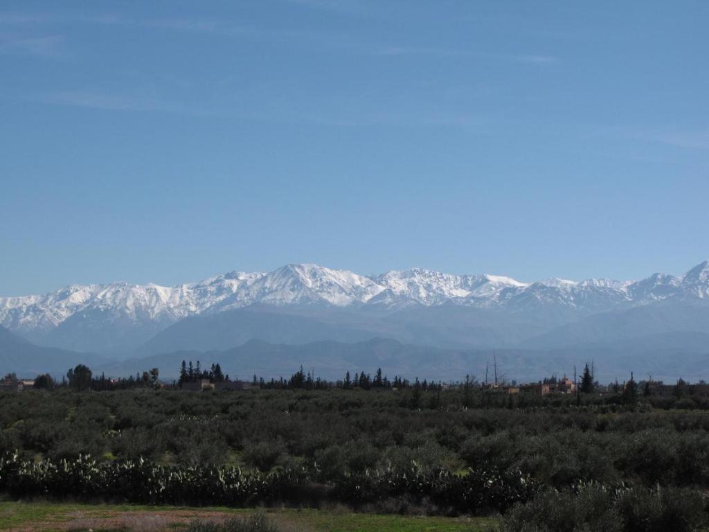 Villa Tata Marie Maison D'Hotes Marrakech 마라케시 외부 사진